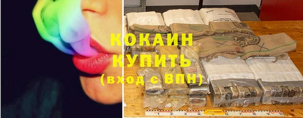 хмурый Сосновка