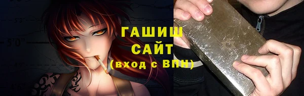 хмурый Сосновка