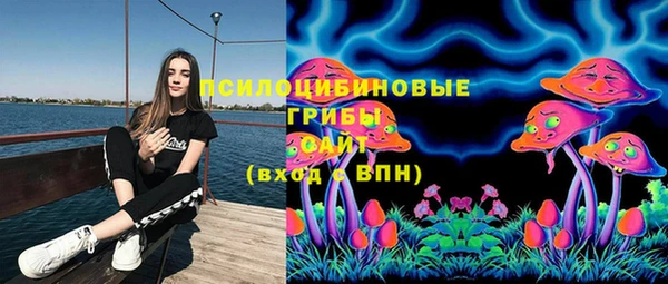 хмурый Сосновка
