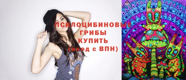mdpv Строитель