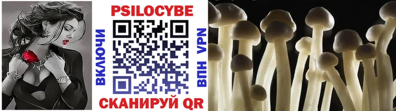 Купить где  Райчихинск  Галлюциногенные грибы Magic Shrooms 