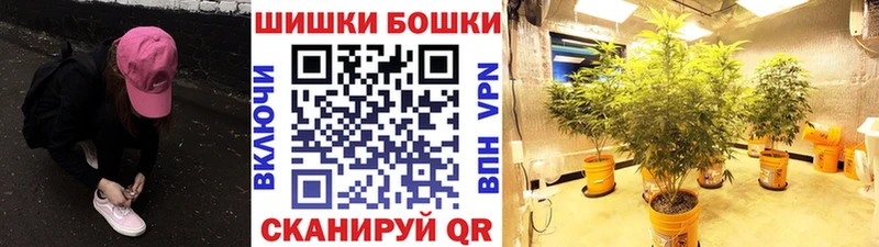 Купить закладки  Райчихинск  Конопля VHQ 